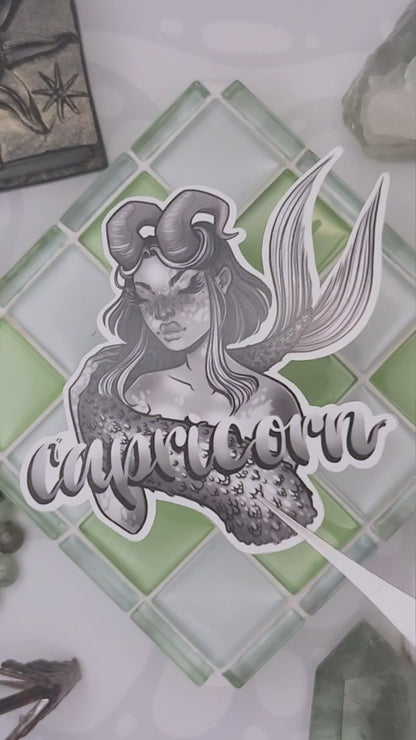 Capricorn Sticker